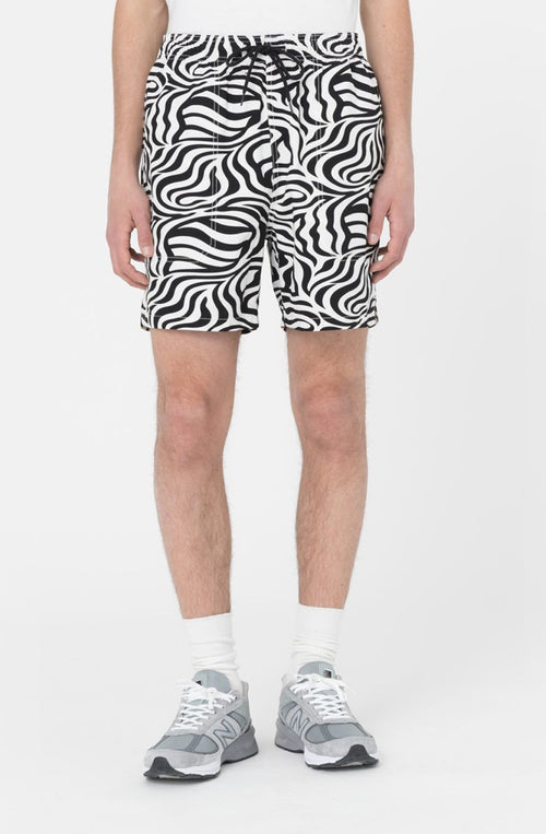 Bermudas Dickies Cloud Zebra