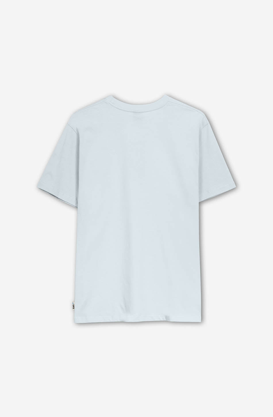 Toucan Baby Blue T-shirt