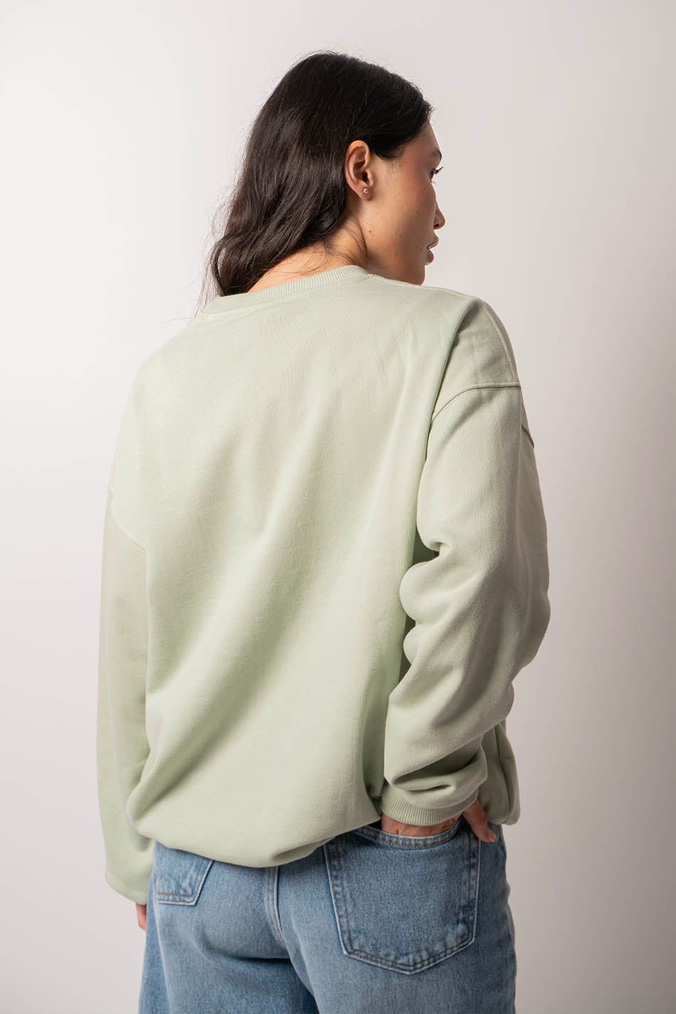 Sweatshirt World Palid Green