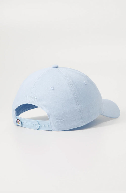 Gorra Dickies Hardwick Skyway