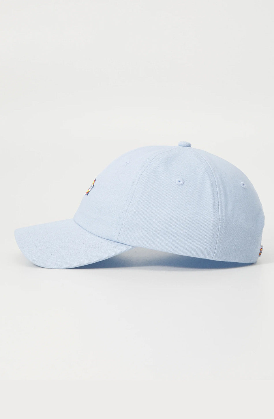 Gorra Dickies Hardwick Skyway