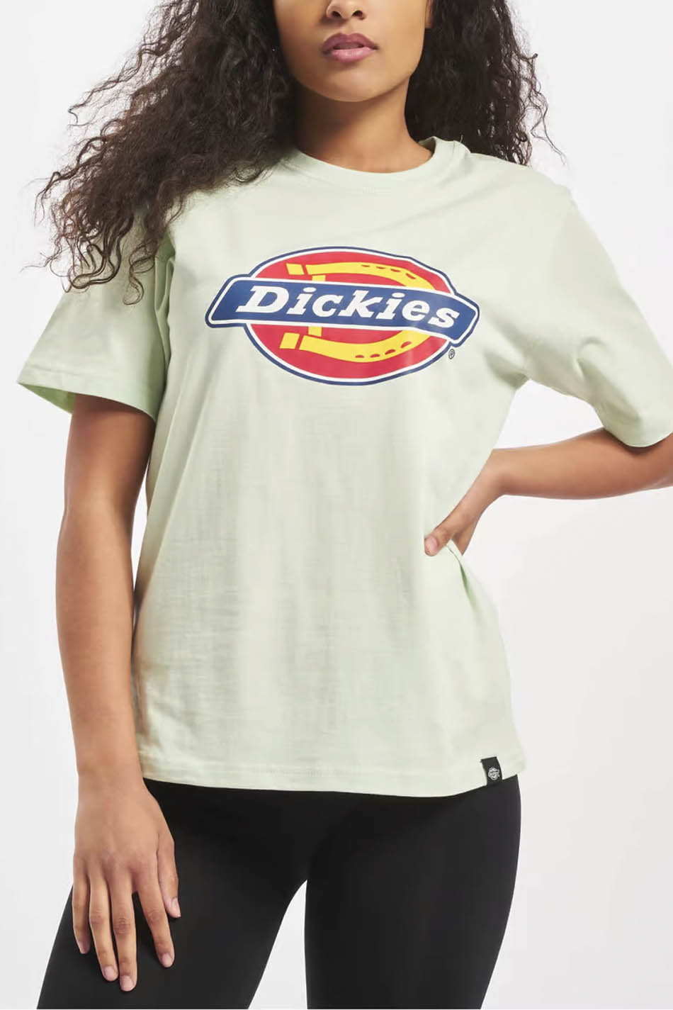 T-Shirt Dickies Horseshoe Mint