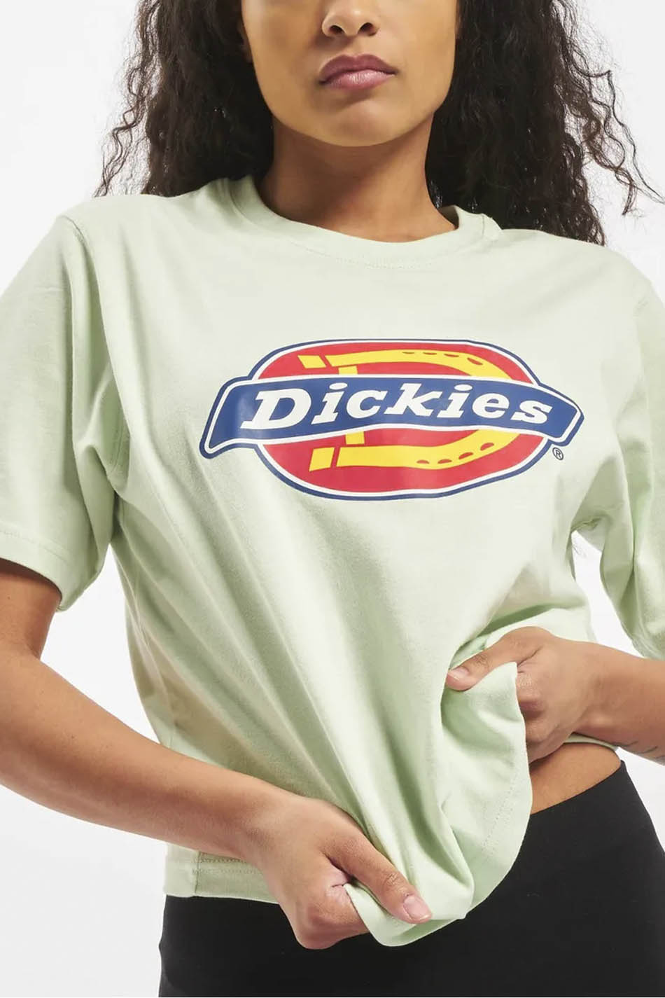 T-Shirt Dickies Horseshoe Mint