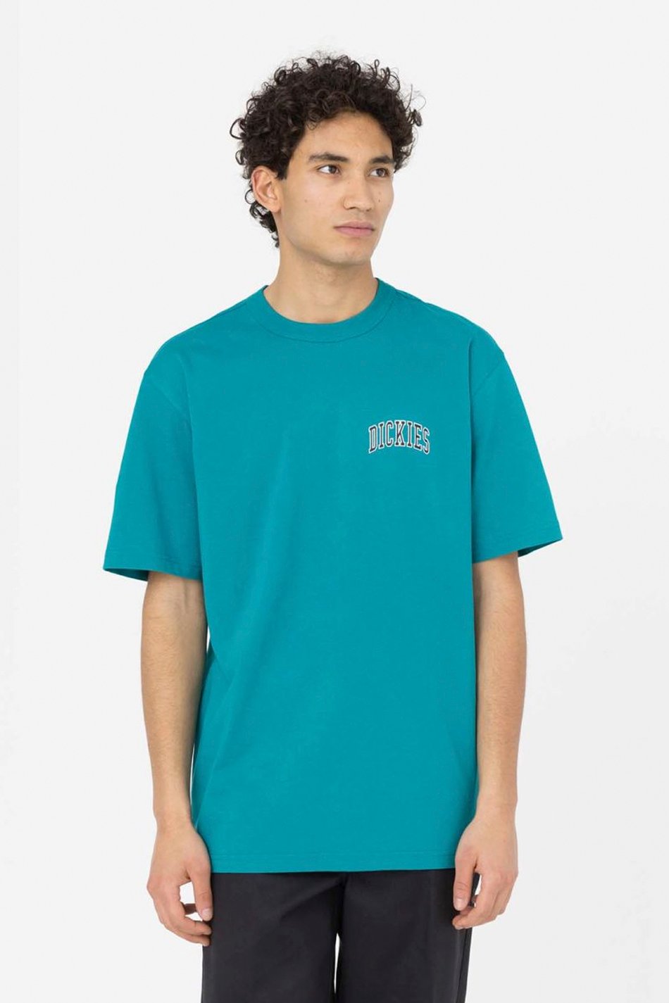 Dickies Aitkin Chest SS Deep T-Shirt