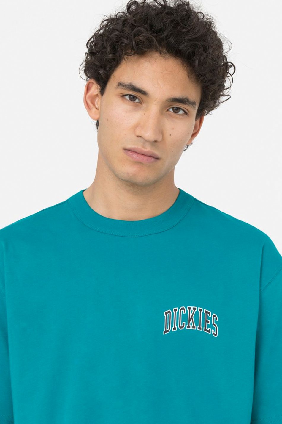 Dickies Aitkin Chest SS Deep T-Shirt